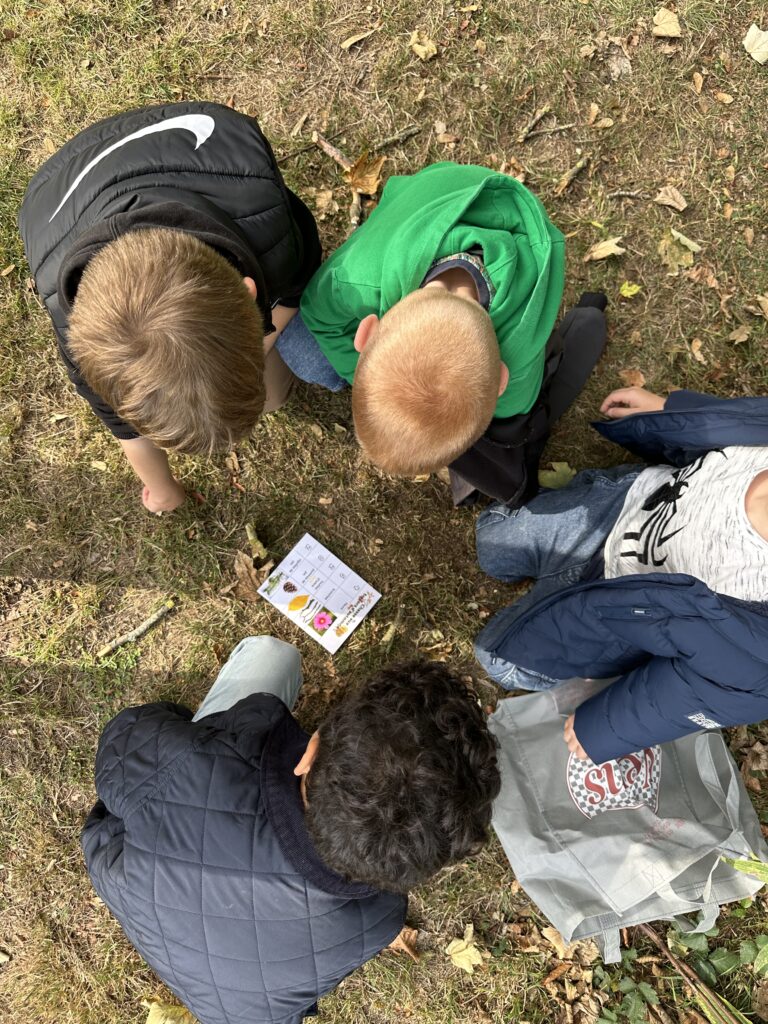 image 20250930 085316 b7c531a7 image 20250930 085316 b7c531a7